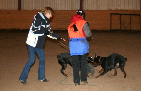 Training in Estonia 3/2007